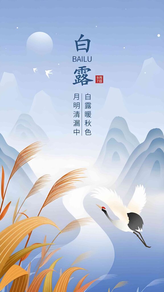 今天是白露